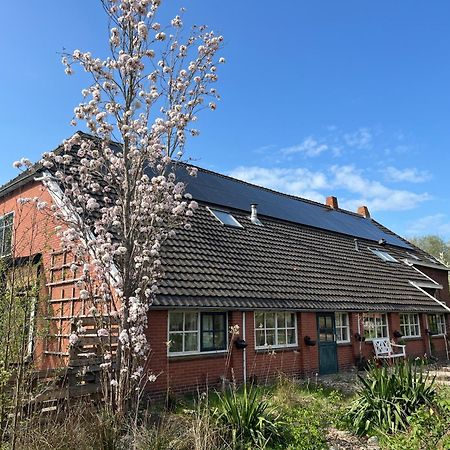 Vlagtwedde Hoeve Veganza B&B المظهر الخارجي الصورة