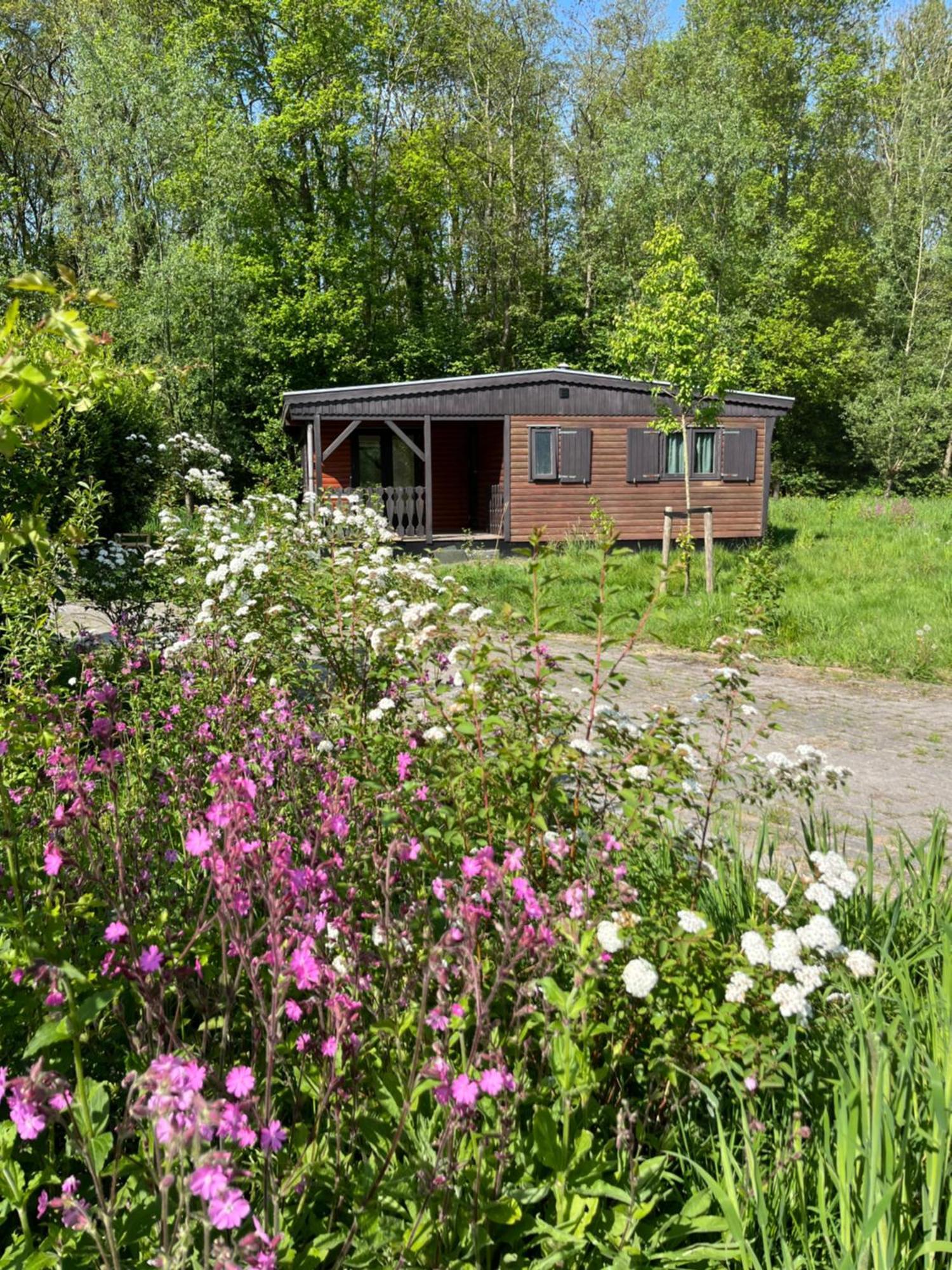 Vlagtwedde Hoeve Veganza B&B المظهر الخارجي الصورة