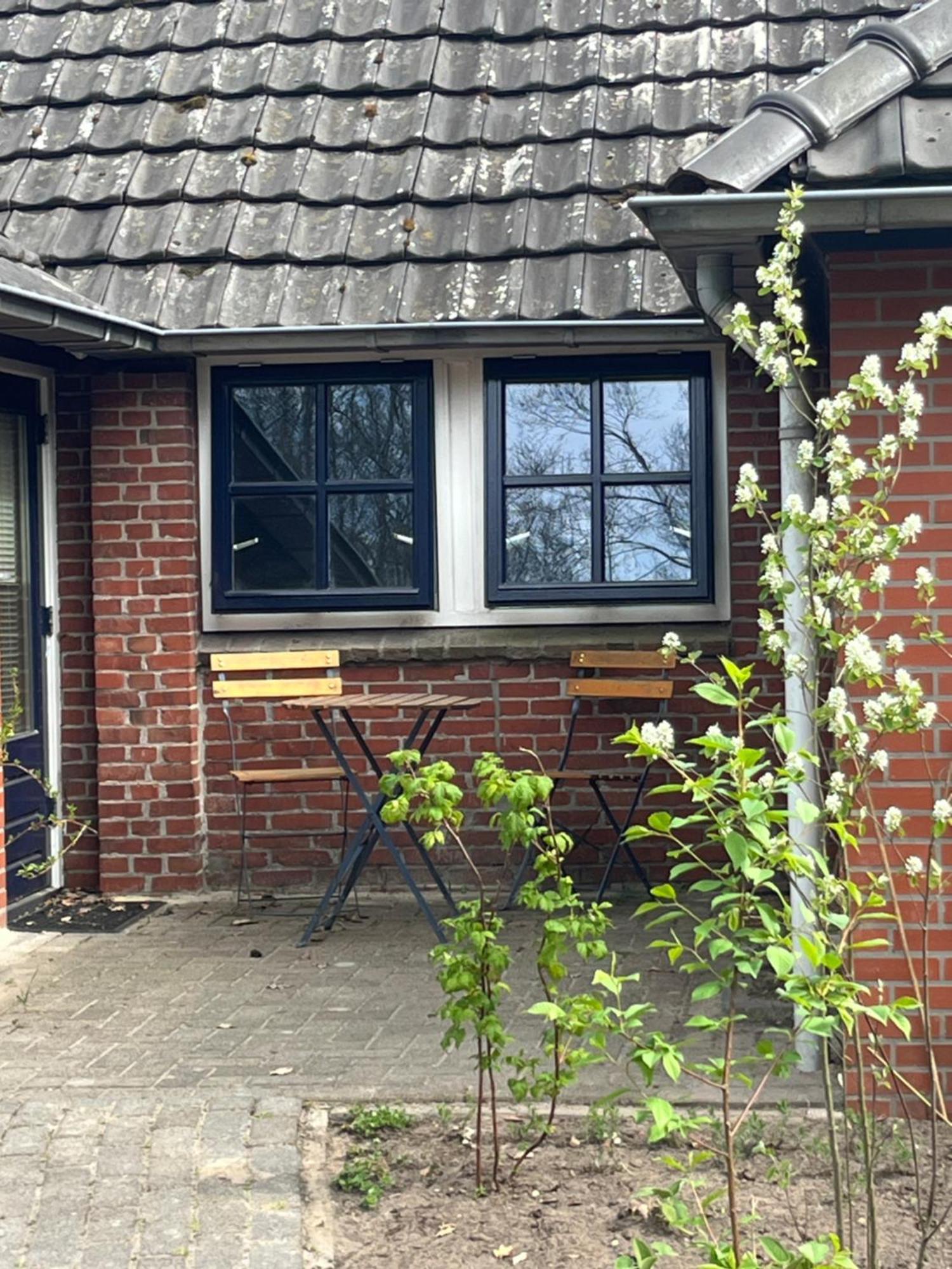 Vlagtwedde Hoeve Veganza B&B المظهر الخارجي الصورة