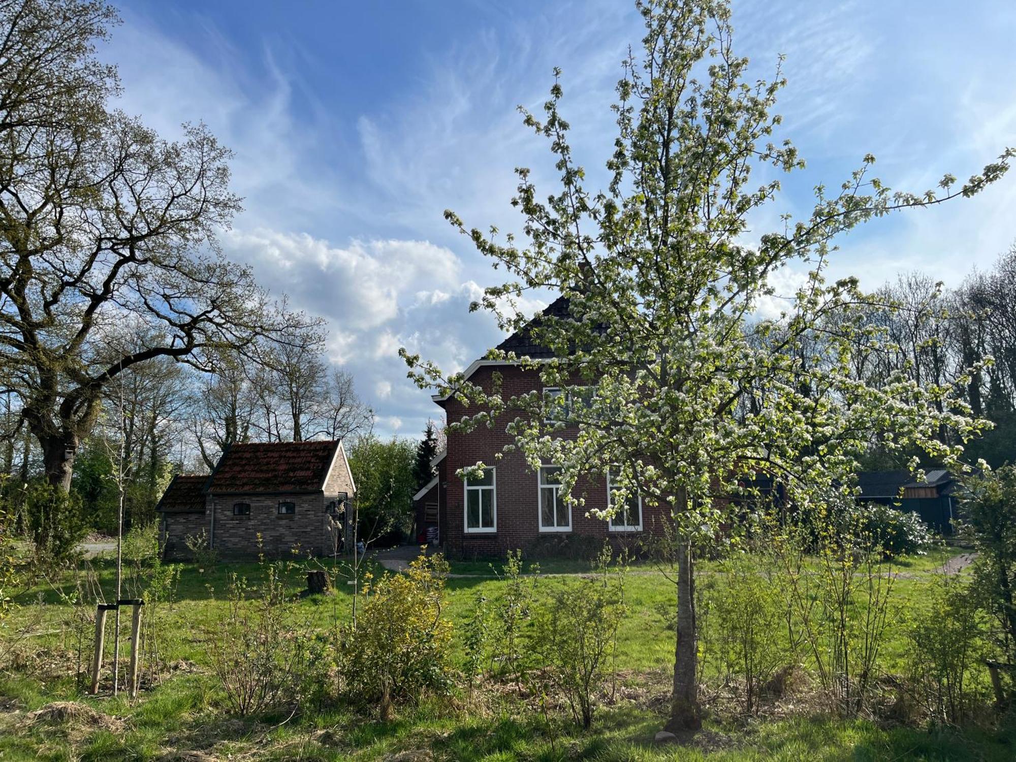 Vlagtwedde Hoeve Veganza B&B المظهر الخارجي الصورة