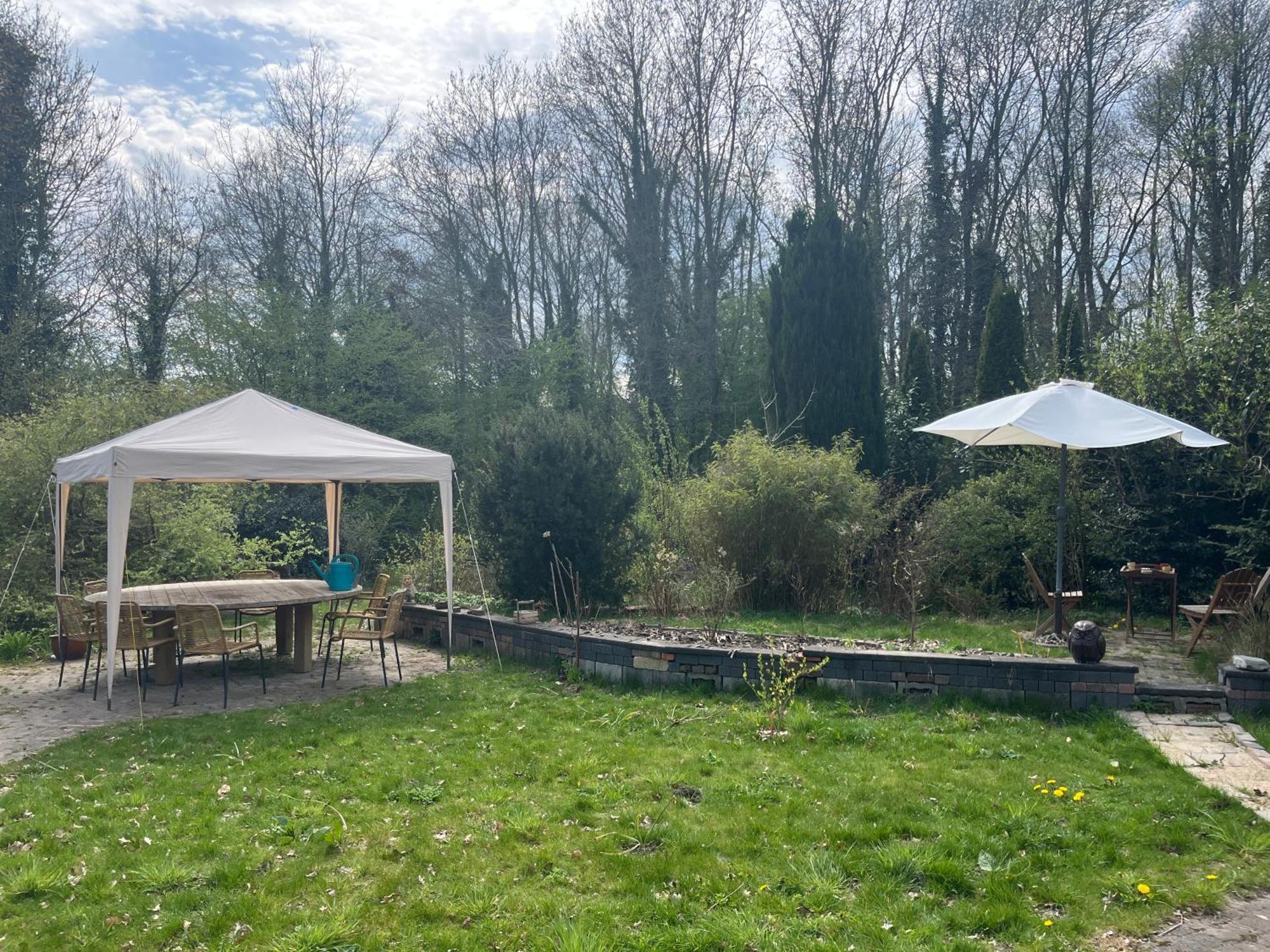 Vlagtwedde Hoeve Veganza B&B المظهر الخارجي الصورة