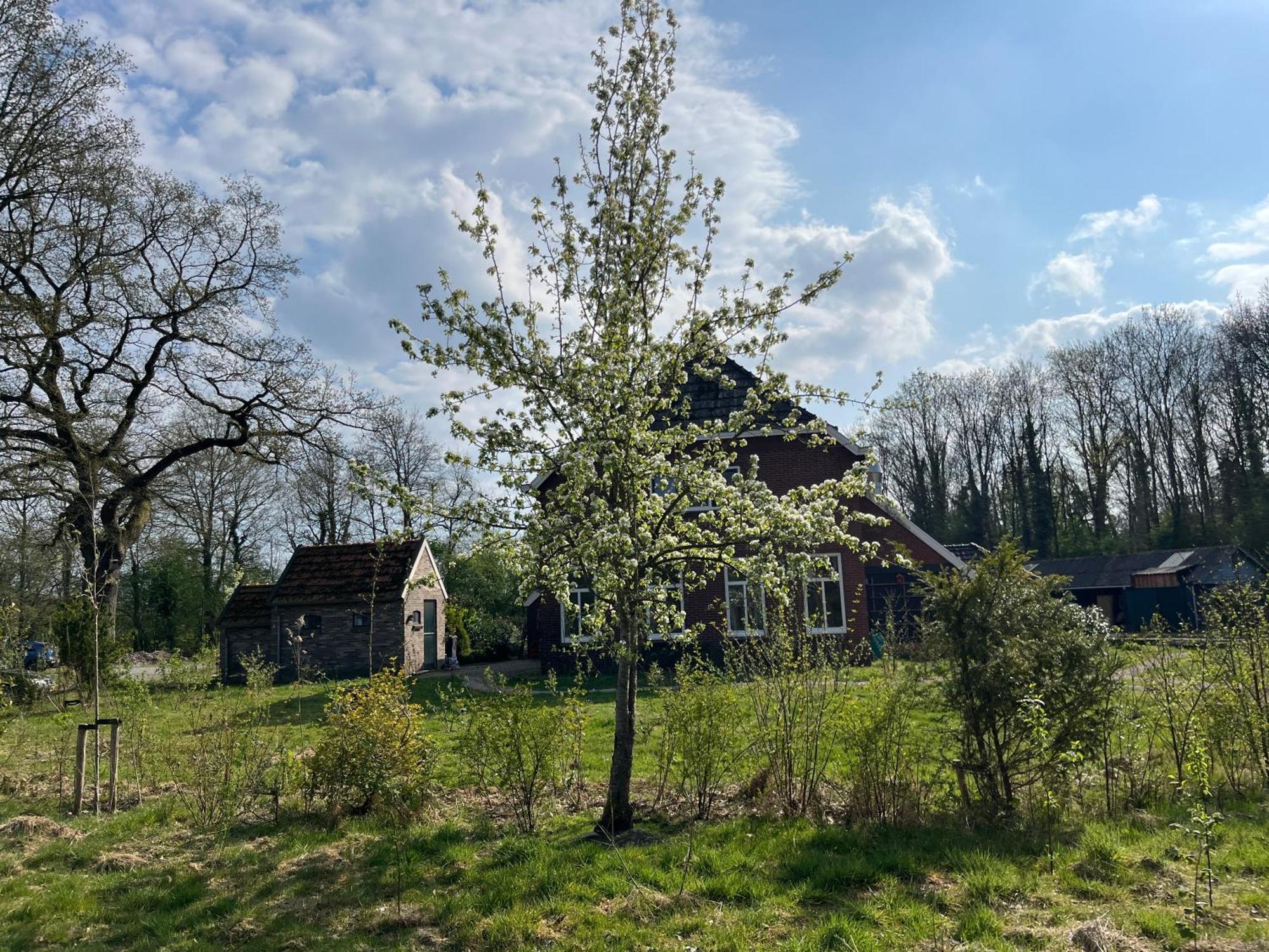 Vlagtwedde Hoeve Veganza B&B المظهر الخارجي الصورة